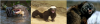 upload_2023-8-14_7-42-21.png