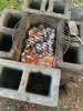 IMG_9052.jpeg
