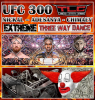 UFC 300.png