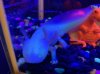 IMG_1951.jpeg