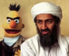 Bin_Laden_Bert.png