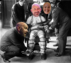 bell chair.png