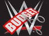 WWE-Budget-Cuts-1536x864.jpg
