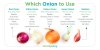 1179-Which-onion-To-Use_TW-12182020.jpeg