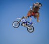 IMG_7541.jpeg