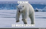 7ec970a5f39c3b1153c52a9da4bbad5b.jpg