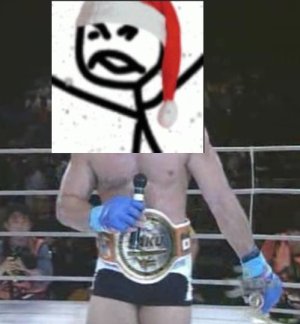 sakubelt.jpg