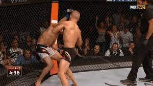 UFC on Fox 16: TJ Dillashaw vs. Renan Barao II