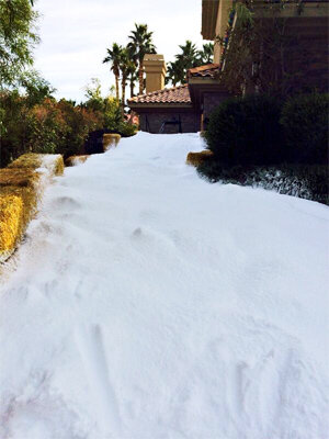 dana-white-driveway-snow.jpg