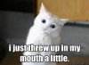 77776-I-just-threw-up-in-my-mouth-a-ytNn.jpeg