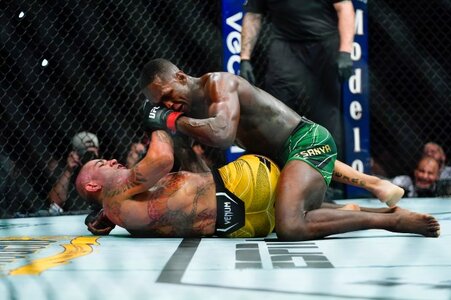 UFC-281-Mixed-Martial-Arts-10.jpg