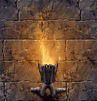 WP 1.gif