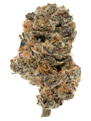 1705764471253.jpeg 1705764471253.jpeg