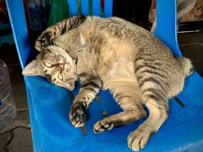 IMG_3116.jpeg