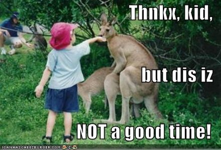 Kid Offers Food to Kangaroo.jpg