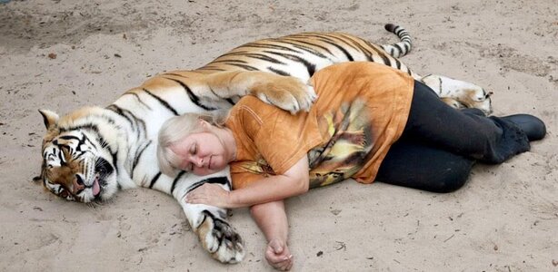 This Woman Keeps Two Pet Tigers In Her Backyard – And They’re As Loving And Playful As Kittens 6.jpg