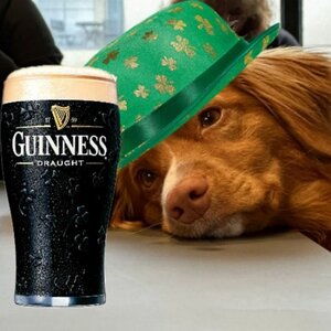 IMG_20240307_162808_(500_x_500_pixel).jpg IMG_20240307_162808_(500_x_500_pixel).jpg