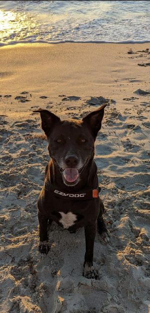 Screenshot_20240308-143008_1.png Screenshot_20240308-143008_1.png