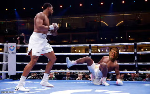 francis shad.jpg
