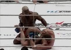 UFC Fight Night 26 complete fighter breakdown, Mauricio 'Shogun' Rua  edition - MMAmania.com