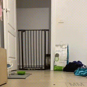 3BAE7D50-EB22-42E2-815F-BED5AD940672.gif