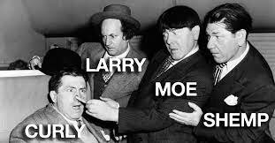 stooge.jpeg