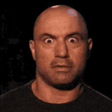 joe-rogan-shocked.gif