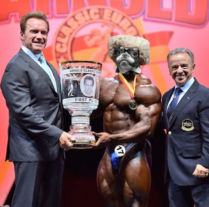 1711978976666.png 1711978976666.png