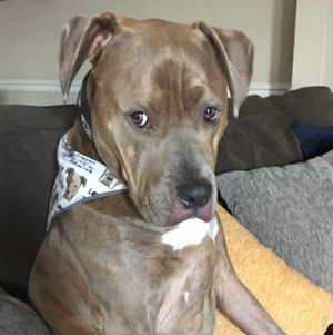 Capture d'écran 2024-04-08 000654.png