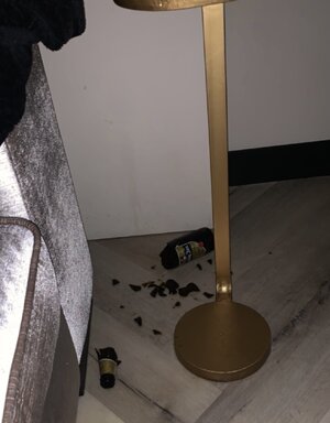 1713073666610.jpeg
