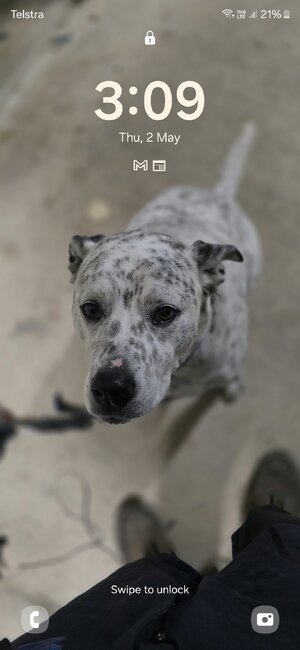 Screenshot_20240502_150934_Bixby Voice.jpg