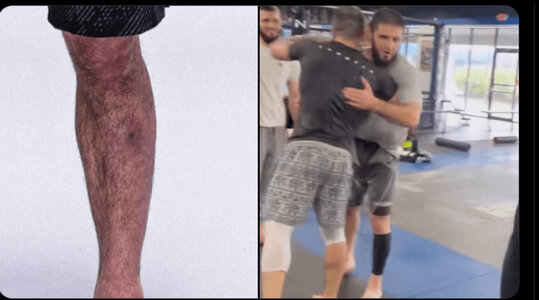 IMG_5396.jpeg IMG_5396.jpeg