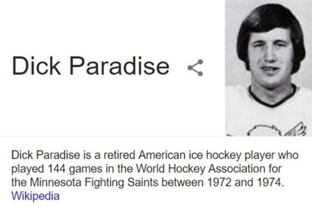 144-games-world-hockey-association-minnesota-fighting-saints-between-1972-and-1974-wikipedia-y.jpeg