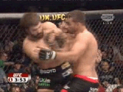 arlovskispanked.gif arlovskispanked.gif