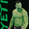 Yeti