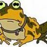 lunacyfrog