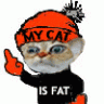 MyCatIsFat