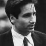 Agent Mulder's Hair