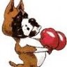Boxing Boxer