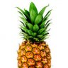 Violent Pineapple
