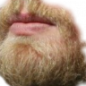 Brock Lesnar's beard