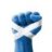 FistsofScotland